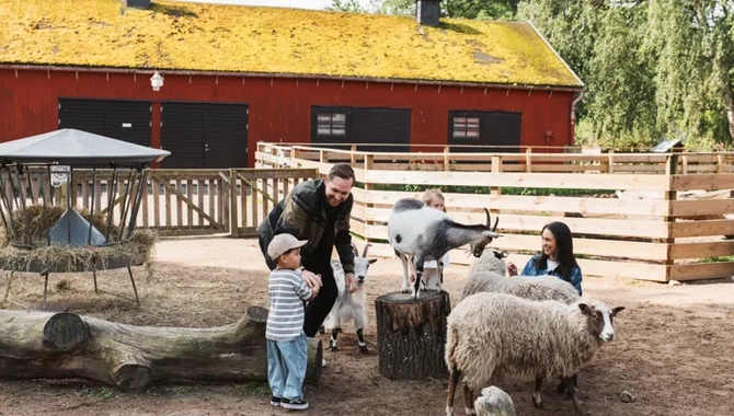 En grupp människor som står runt en hjord av får.