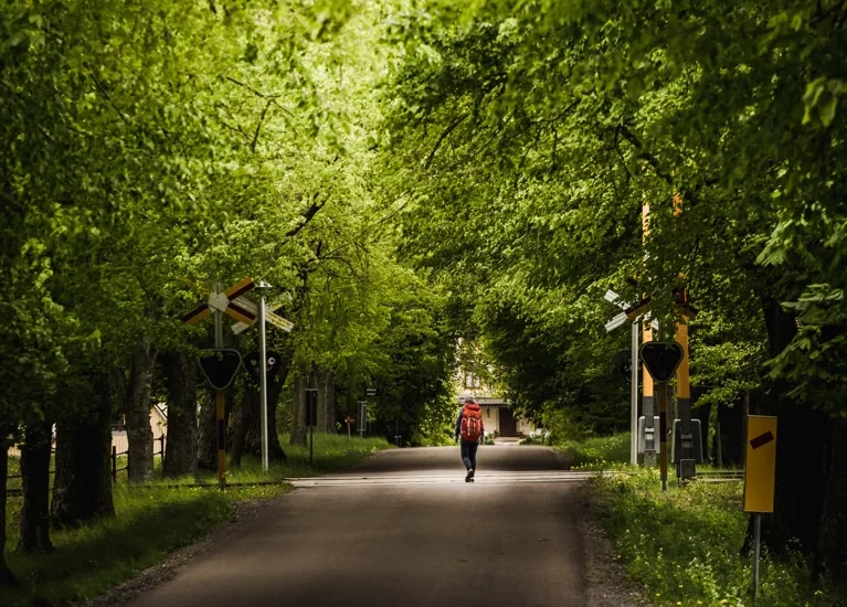 Vandra på Kinnekulle