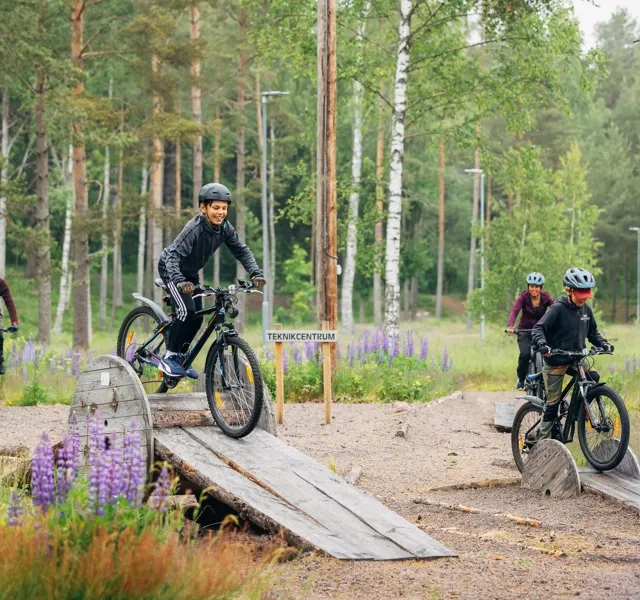 Människor som cyklar i ett naturområde.