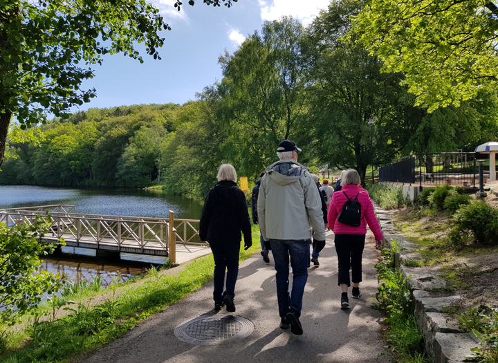 Grupp vandrare på stig bredvid sjö