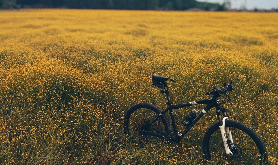 En bild på en mountain bike som står parkerad på ett fält med blommande gula blommor