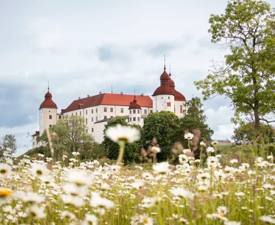 En stor vit byggnad som ligger på ett grönskande fält.