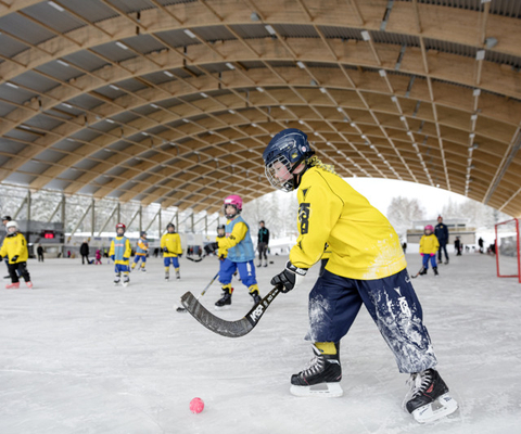 A group of young people playing a game of Bandy