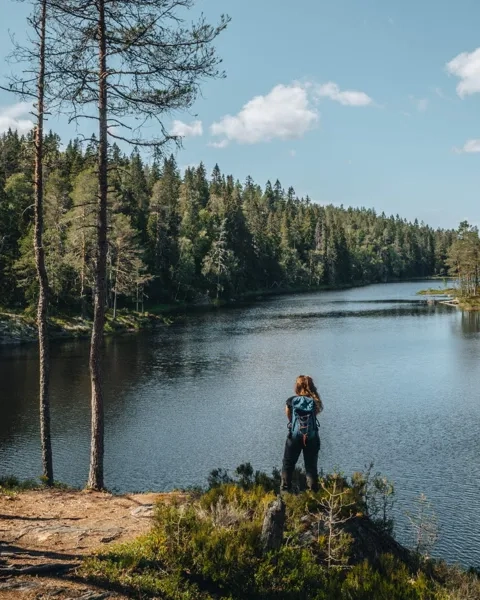 Tresticklan Nationalpark