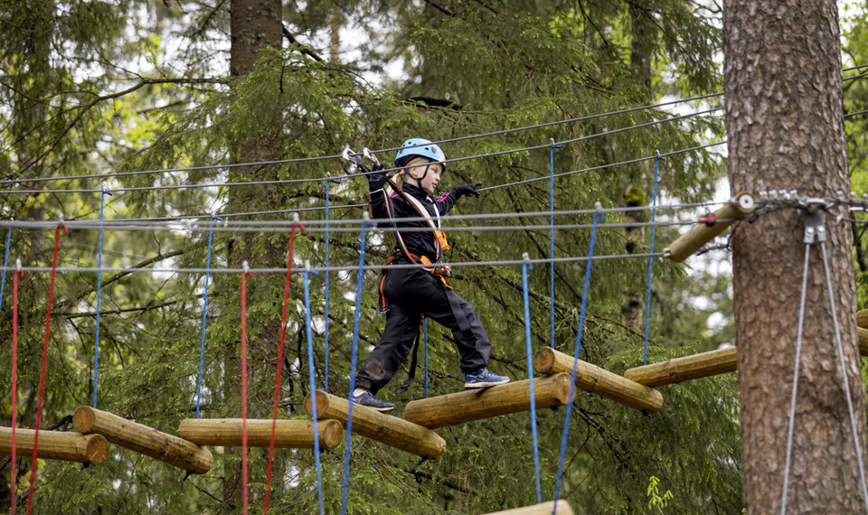 Ett barn på en hög höjdsbana i en skog.