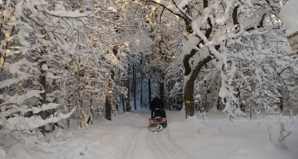 Skidspår i skogen på Hellidsberget i Tidaholm.
