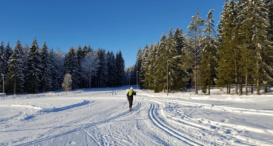 En person som åker längdskidor på en snöig väg.