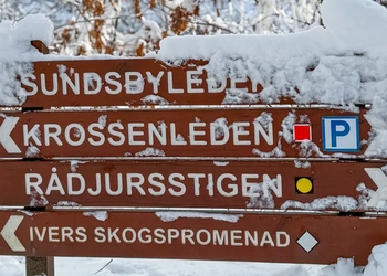 En träskylt som sitter mitt i en snötäckt skog.