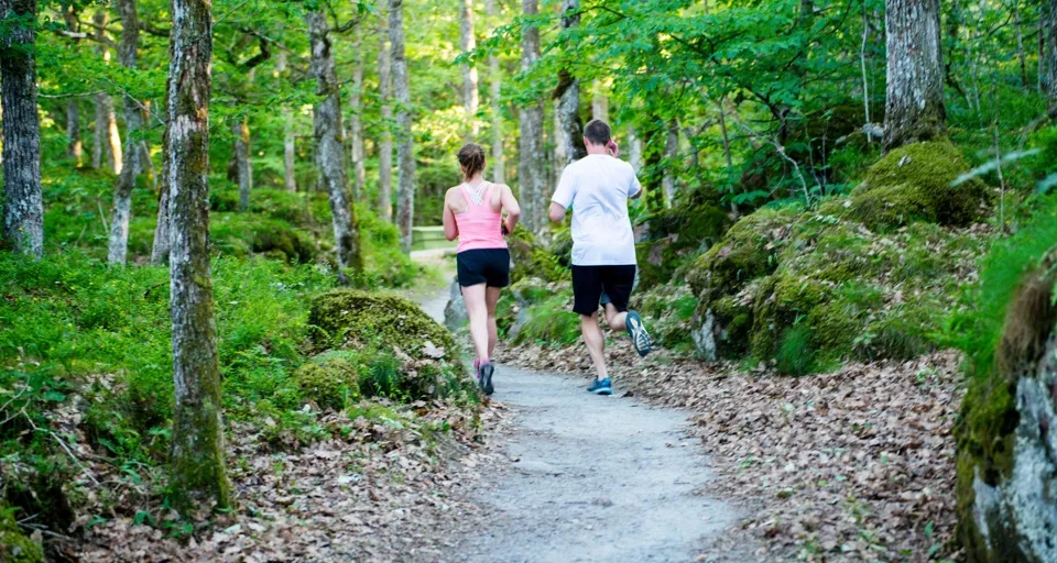 Några personer som springer längs en stig.