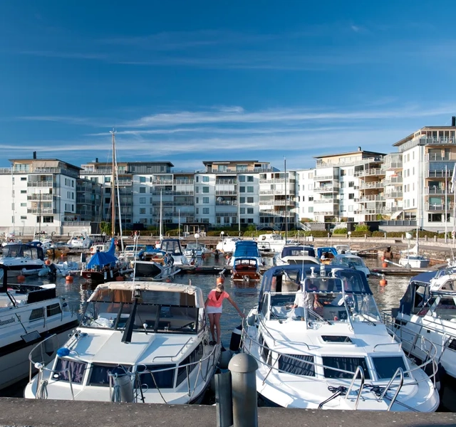 En marina fylld med massor av vita båtar.