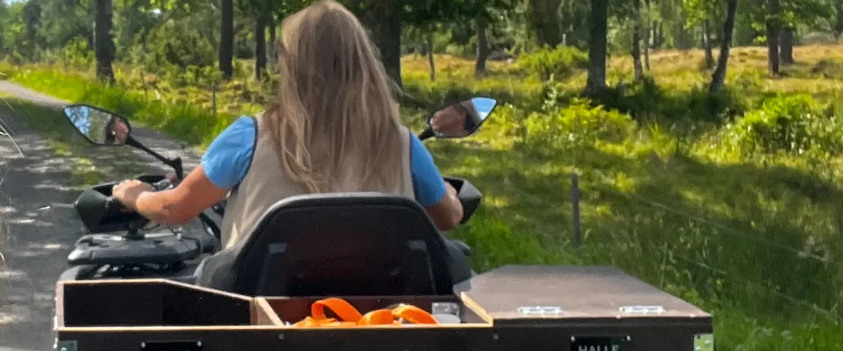 Guidad skogsfärd på Hunneberg