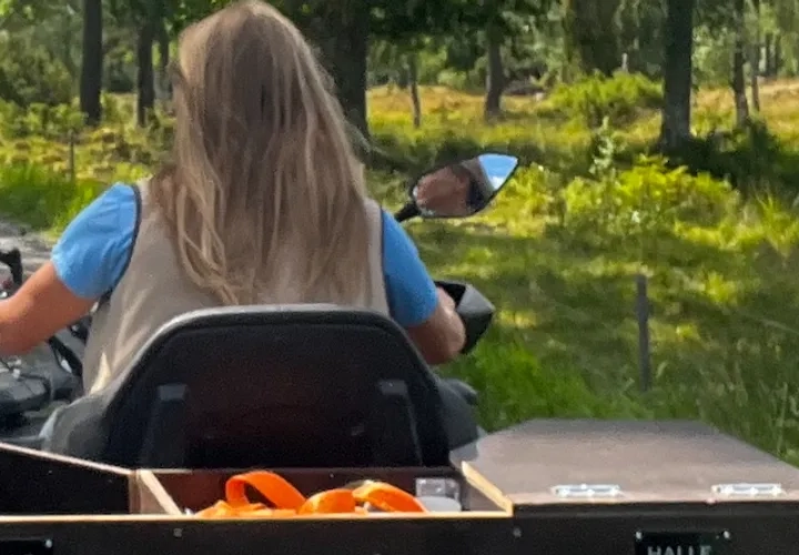 Guidad skogsfärd på Hunneberg