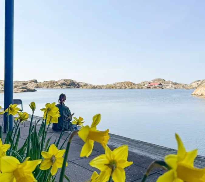 vyer vid nordiska akvarellmuseet i skärhamn