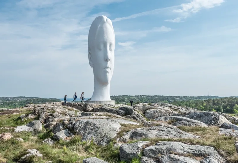 Ett stort vitt huvud som sitter på toppen av en stenig sluttning.