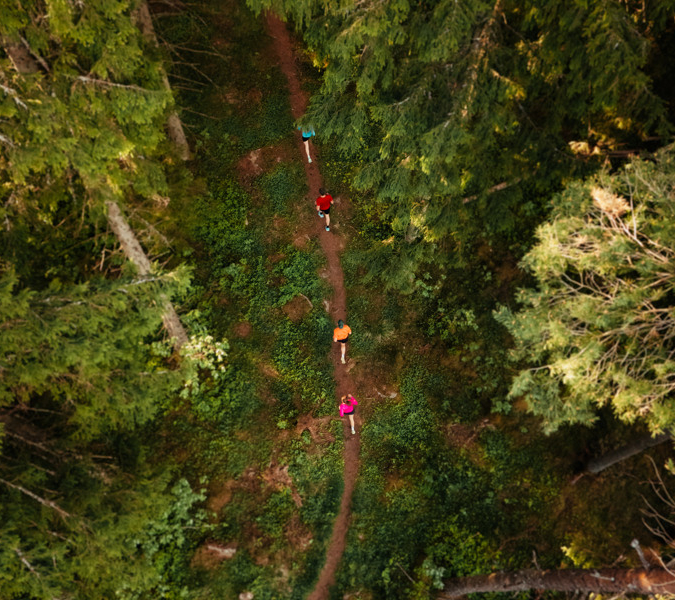 A group of people walking through a lush green forest.