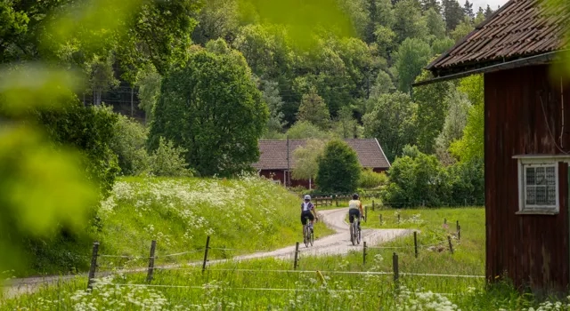 Cykling på natursköna Ljungleden.