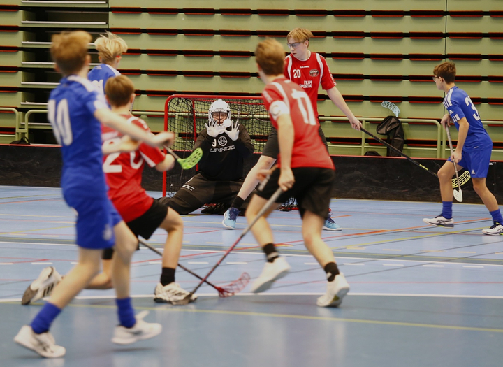 Sibben Cup