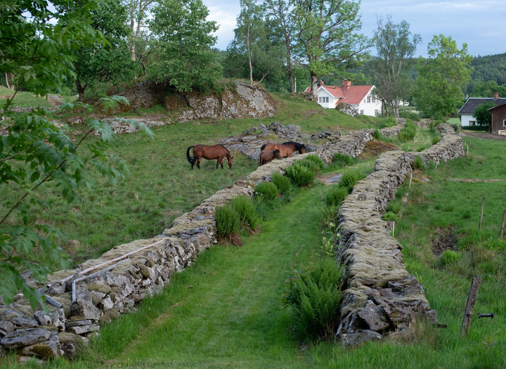 Hyssnalördag