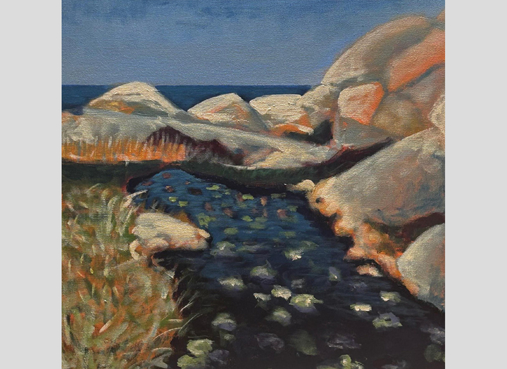 Havslandskap