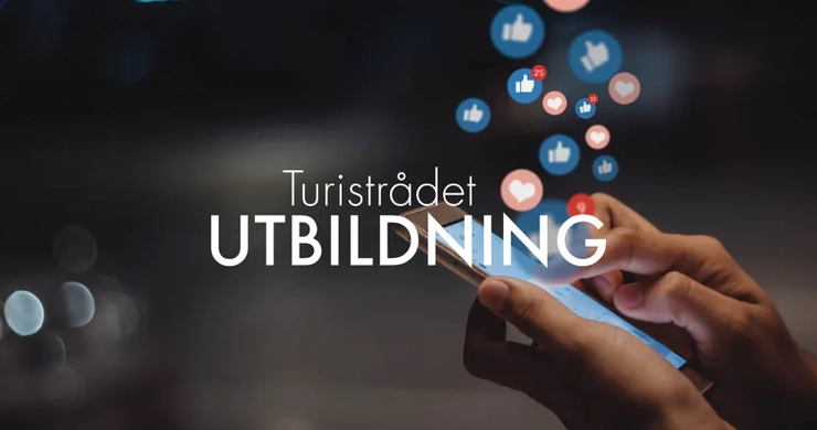 En person som håller en mobiltelefon i handen.