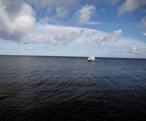Blått vatten, blå himmel och en vit segelbåt.