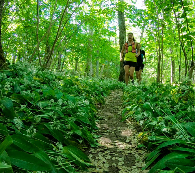 Två personer som springer genom en grönskande skog med blommande ramslök. 