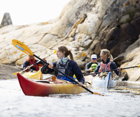 Kajkapaddlare vid den bohuslänska kusten.