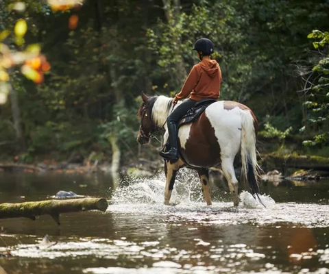 Turrudning hos Dalslands Aktiviteter
