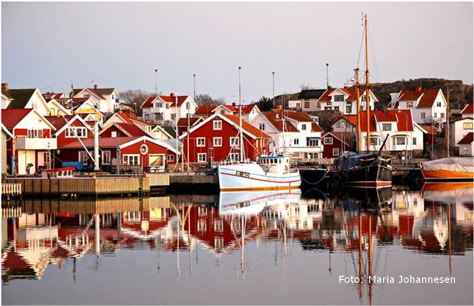 Skärhamn guidad vandring
