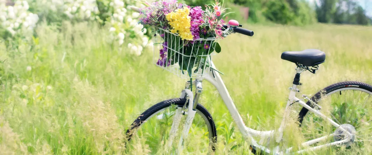 Midsommar på Hanatorp