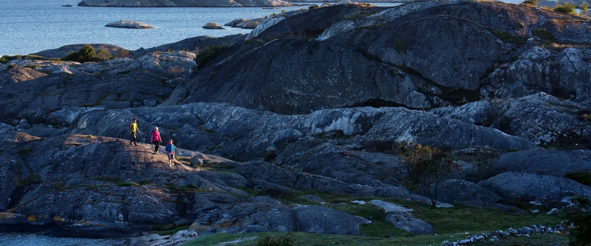 Koster: Vandra i ett öparadis