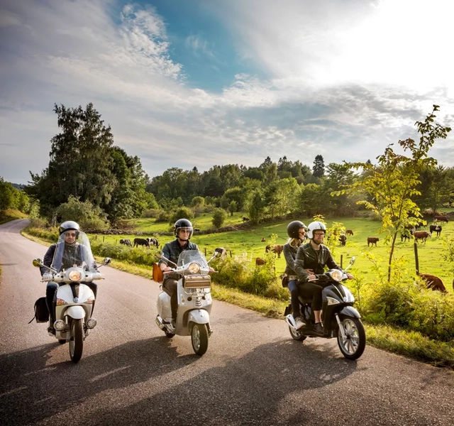 Tre mopeder som kör på en väg med kossor i hagen bredvid.