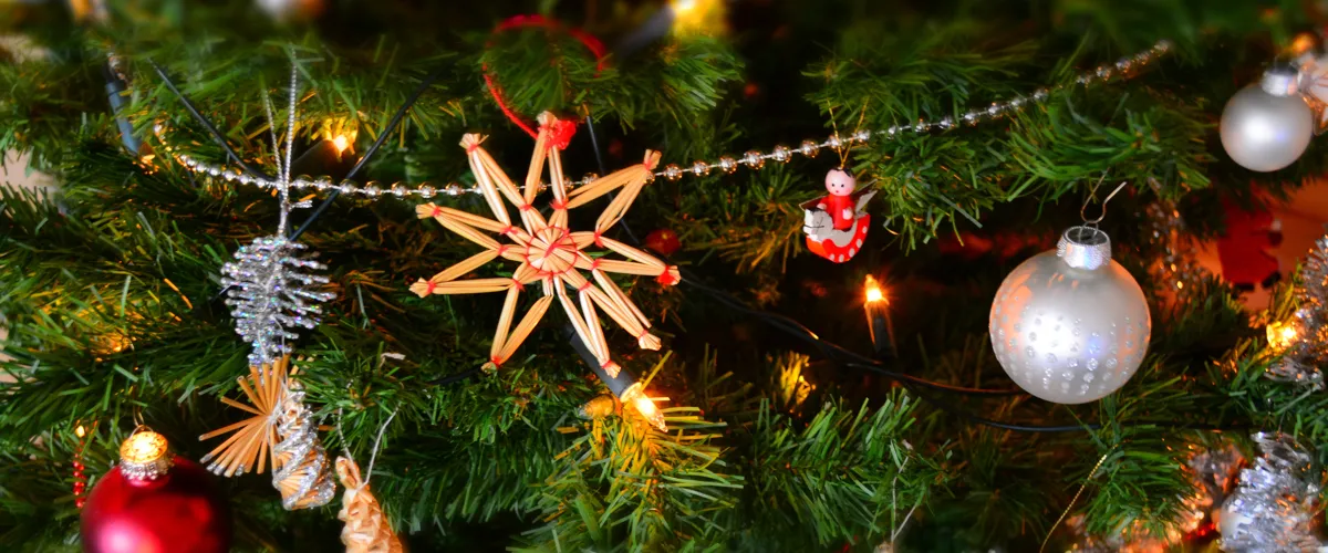 Winnie's Christmas Kitchen