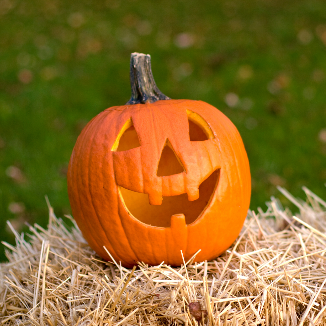 Halloween vid Gammelgården i Dingle 