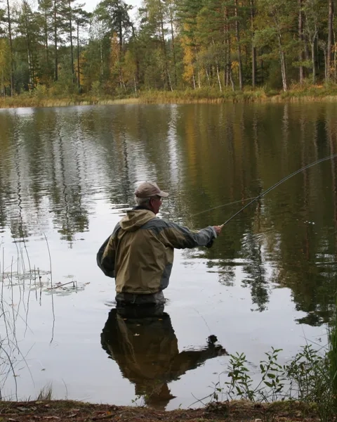 En man som står i vattnet och fiskar i en sjö på hösten.