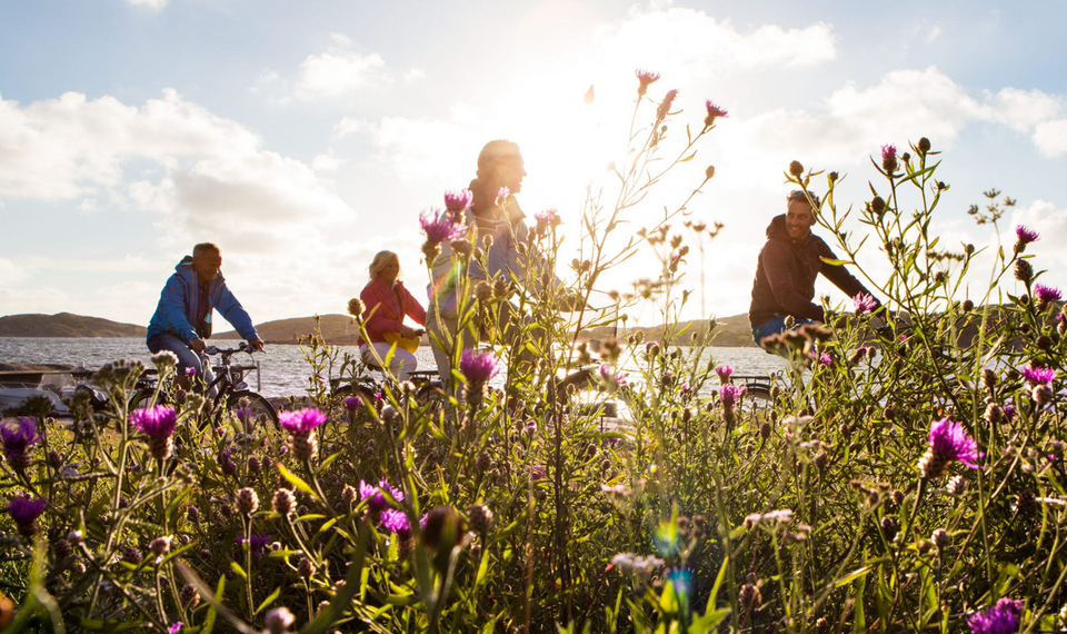 Cyklister passerar ett dike fullt med blommor