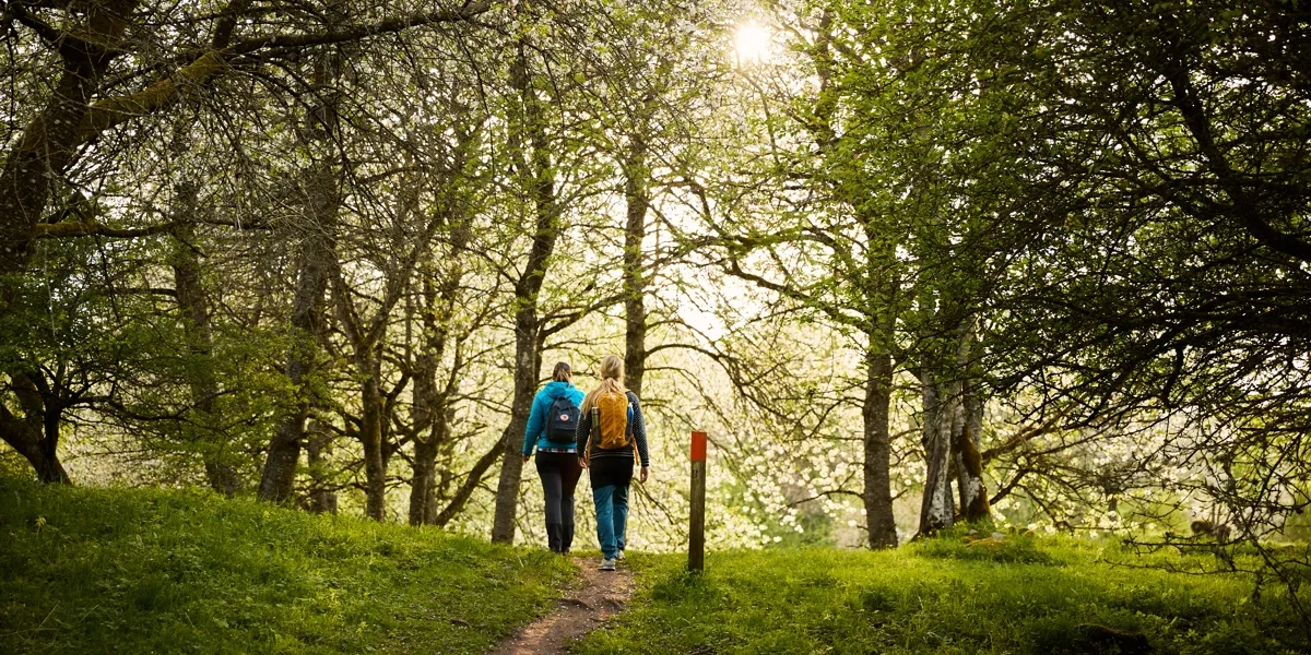 Vandring vid Höjentorp