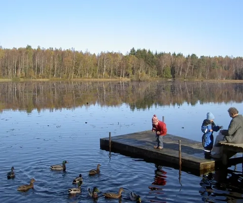 A couple of people that are sitting on a dock.