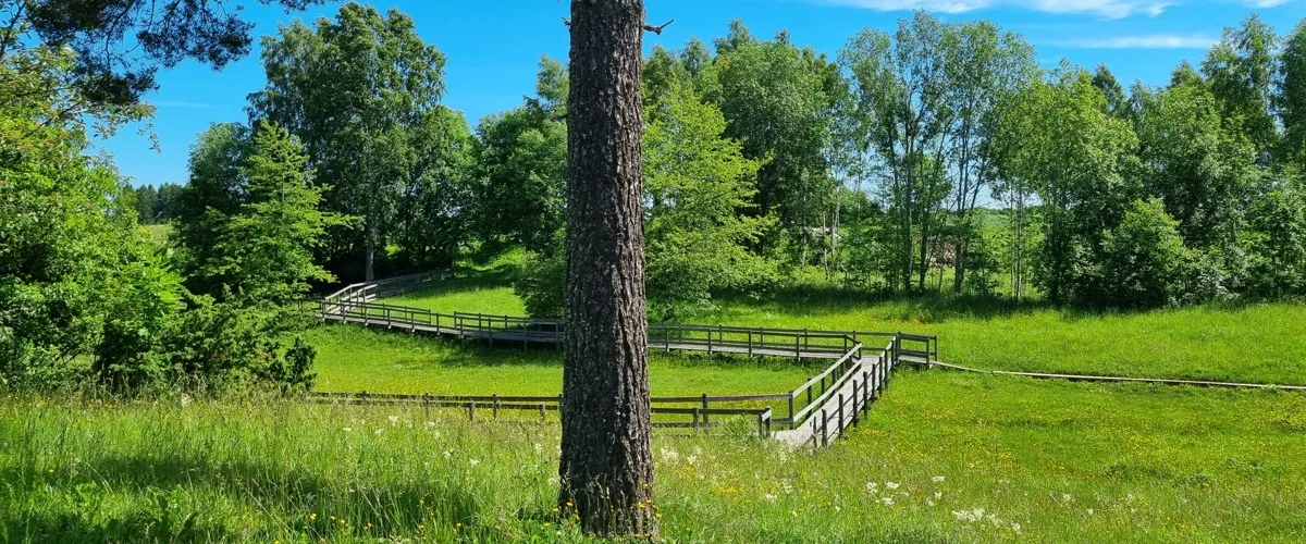 Lammevadskärret
