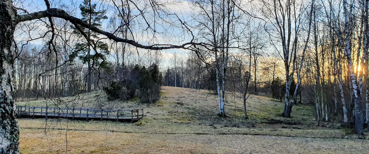 Lammevadskärret