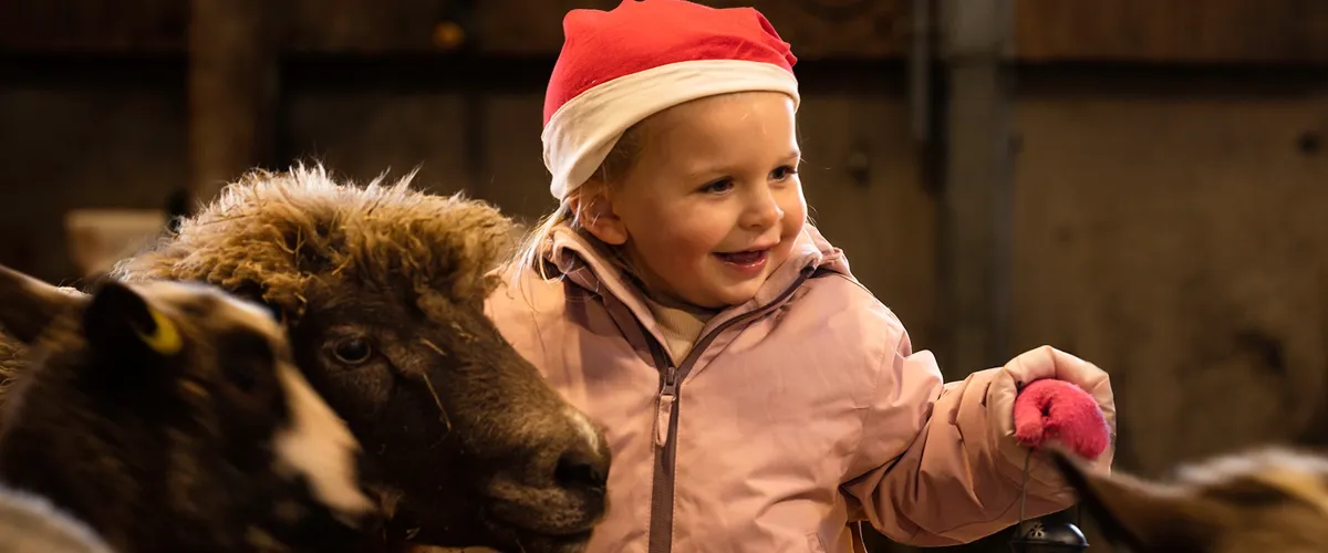 Julmarknad på Nordens Ark