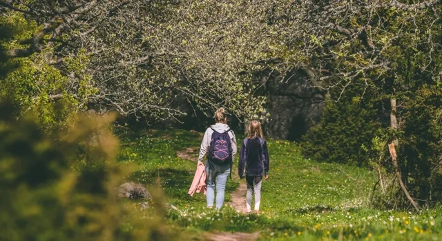 Två personer vandrar på en stig omgärdad av knoppande träd och vårblommor.
