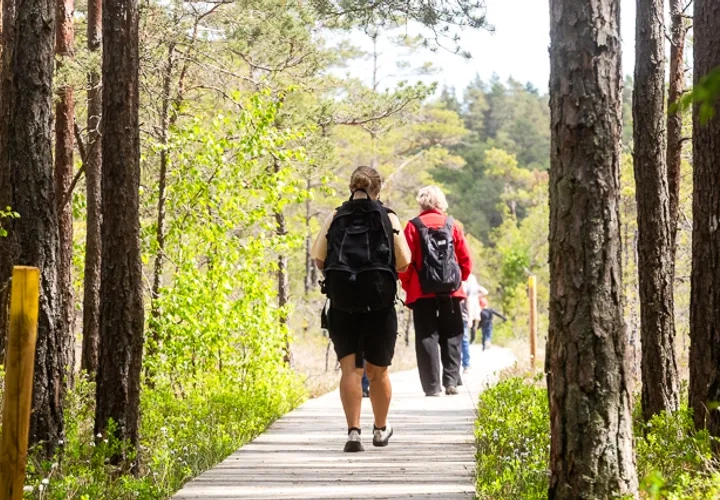 Vandra på Rösjö mosse
