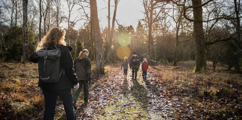 En grupp människor som går genom en höstskog.