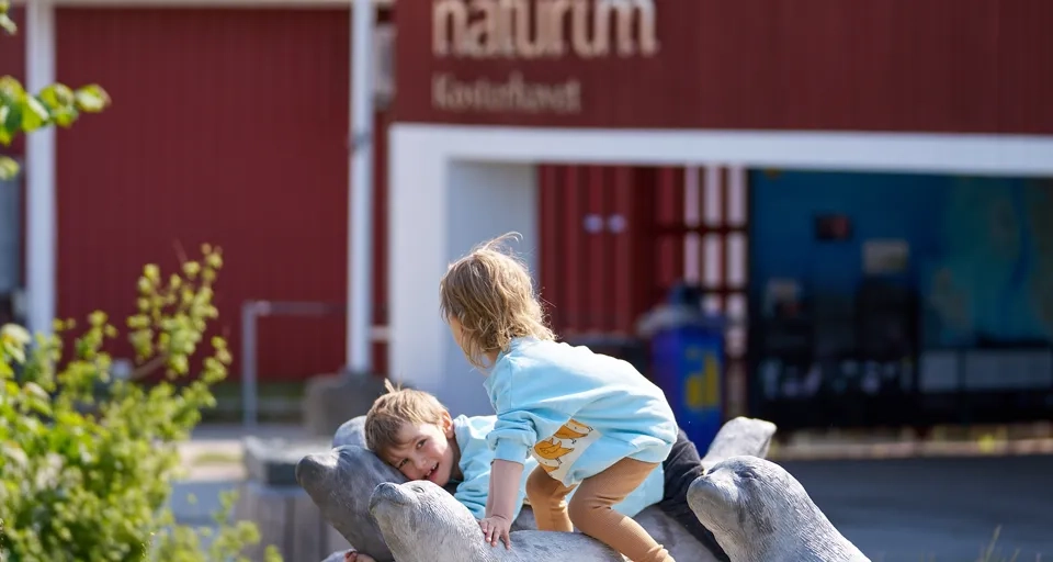 Barn leker utanför naturum Kosterhavet