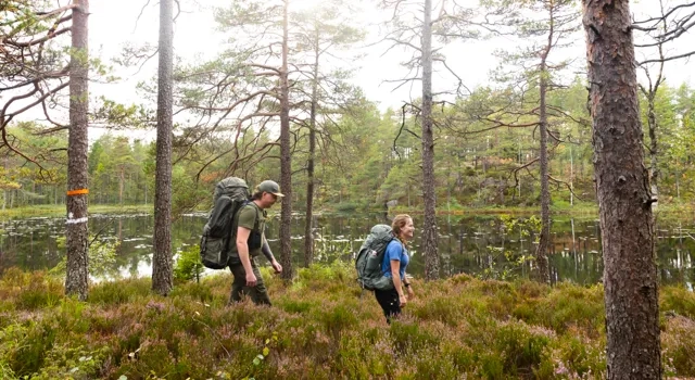 Några människor som går genom en skog.
