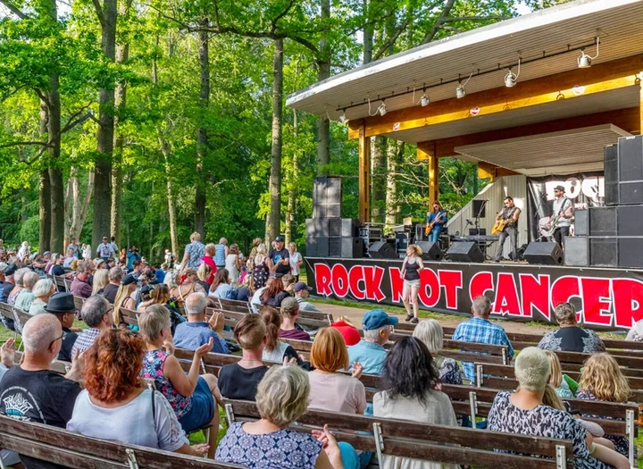 Rock Mot Cancer festival i Hjo Stadspark.
