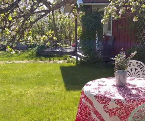 Trädgård med uppdukat bord