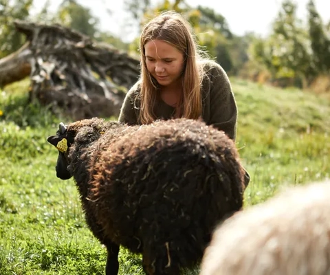 flicka som klappar får.