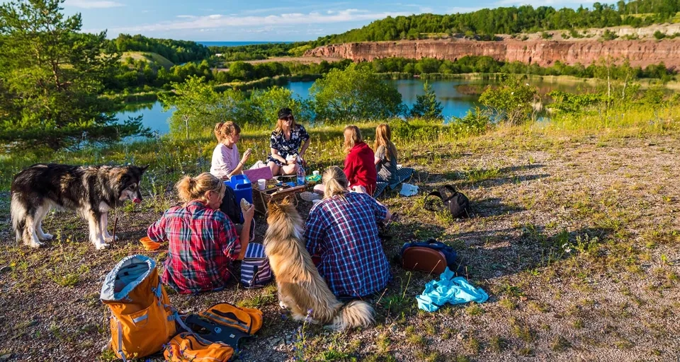 Några personer sitter och fikar vid kanten av ett stenbrott. Himlen är blå och solen lyser. De har hundar med sig.